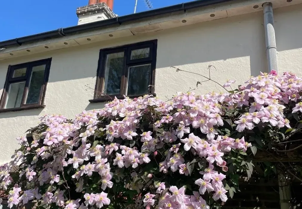 Rear Garden - Glebe Road, Cuckfield, Haywards Heath, West Sussex - Wards of Kent