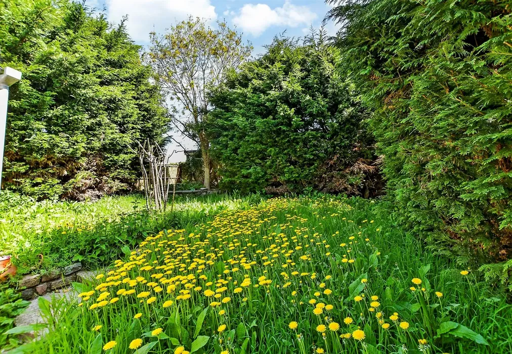 Rear Garden - The Street, West Hougham, Kent - Wards of Kent