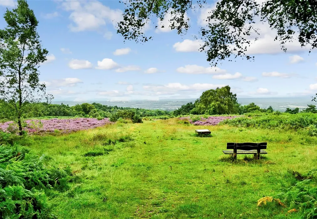 Surrounding Area - The Orchards, Primrose Drive, Ridgewood, Uckfield, East Sussex - Wards of Kent