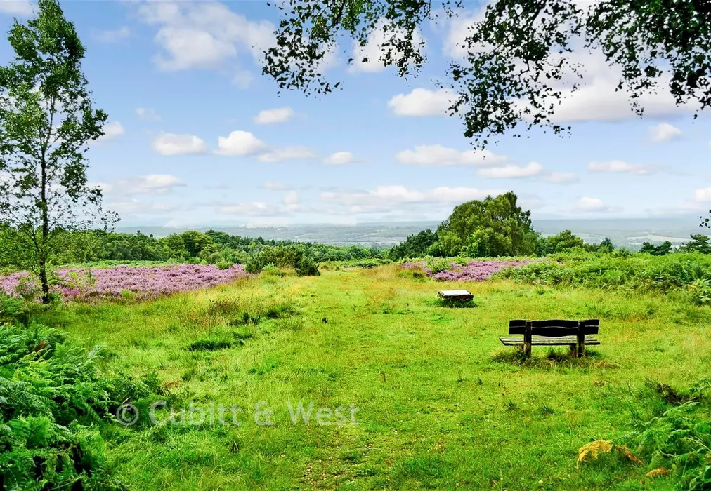 Surrounding Area - Ashdown Forest - The Orchards, Primrose Drive, Ridgewood, Uckfield, East Sussex - Wards of Kent
