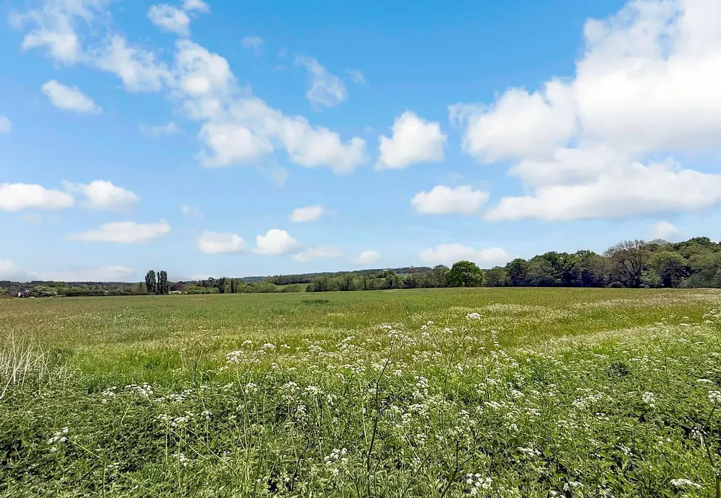 View - Old Road, Wateringbury, Kent - Wards of Kent