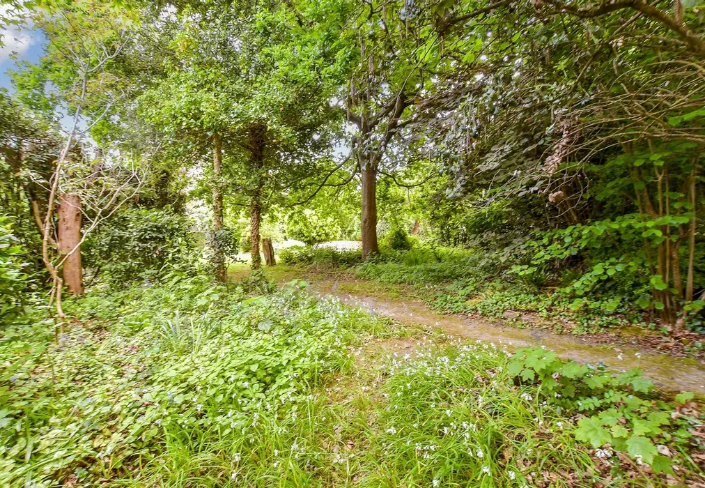 Rear Garden - Halletts Shute, Norton, Yarmouth, Isle of Wight - Wards of Kent