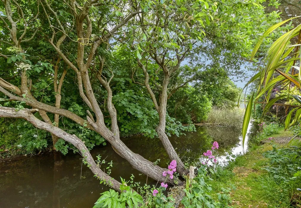 Views To Rear - Hythe Road, Dymchurch, Romney Marsh, Kent - Wards of Kent