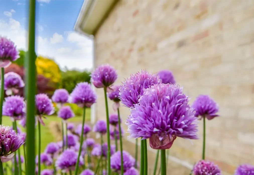 External Lifestyle Photograph - Bewsbury Crescent, Whitfield, Dover, Kent - Wards of Kent