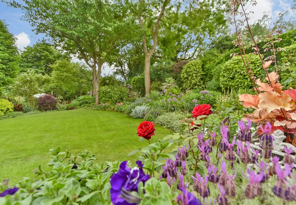 Rear Garden - Hempstead Road, Hempstead, Gillingham, Kent - Wards of Kent