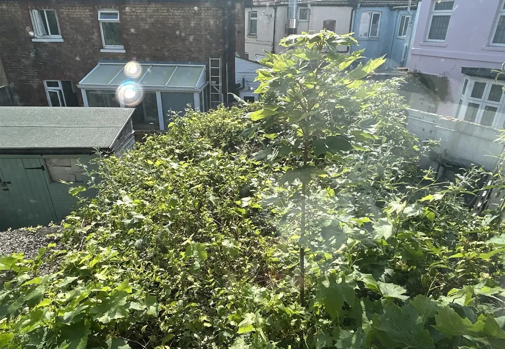 Garden - Cinder Footpath, Broadstairs, Kent - Wards of Kent