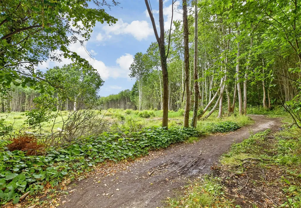 Surrounding Area - Amsbury Road, Hunton, Maidstone, Kent - Wards of Kent