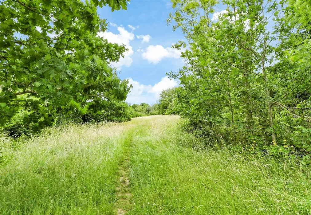 Surrounding Area - Beechwood Road, Caterham, Surrey - Wards of Kent