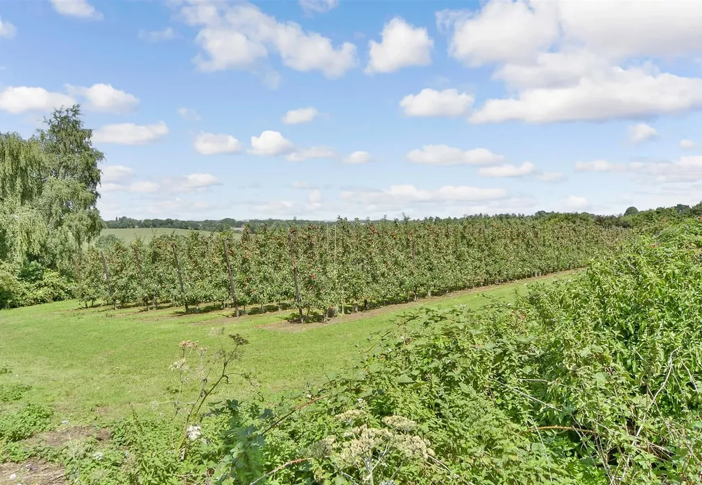 Surrounding Area - Bull Lane, Boughton-Under-Blean, Faversham, Kent - Wards of Kent