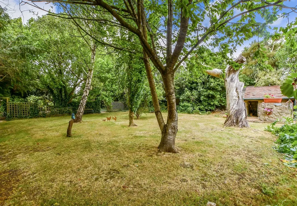 Front Garden - Holgate Lane, Seaview, Isle of Wight - Wards of Kent