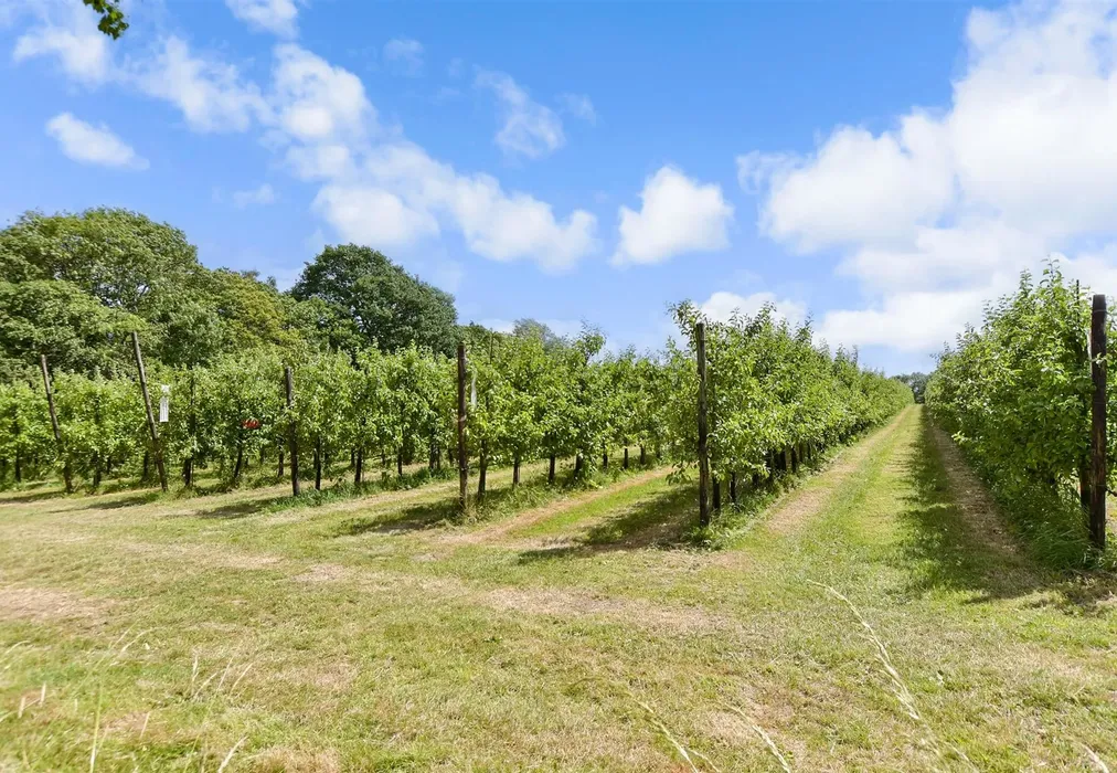 Surrounding Area - Goudhurst Road, Cranbrook, Kent - Wards of Kent
