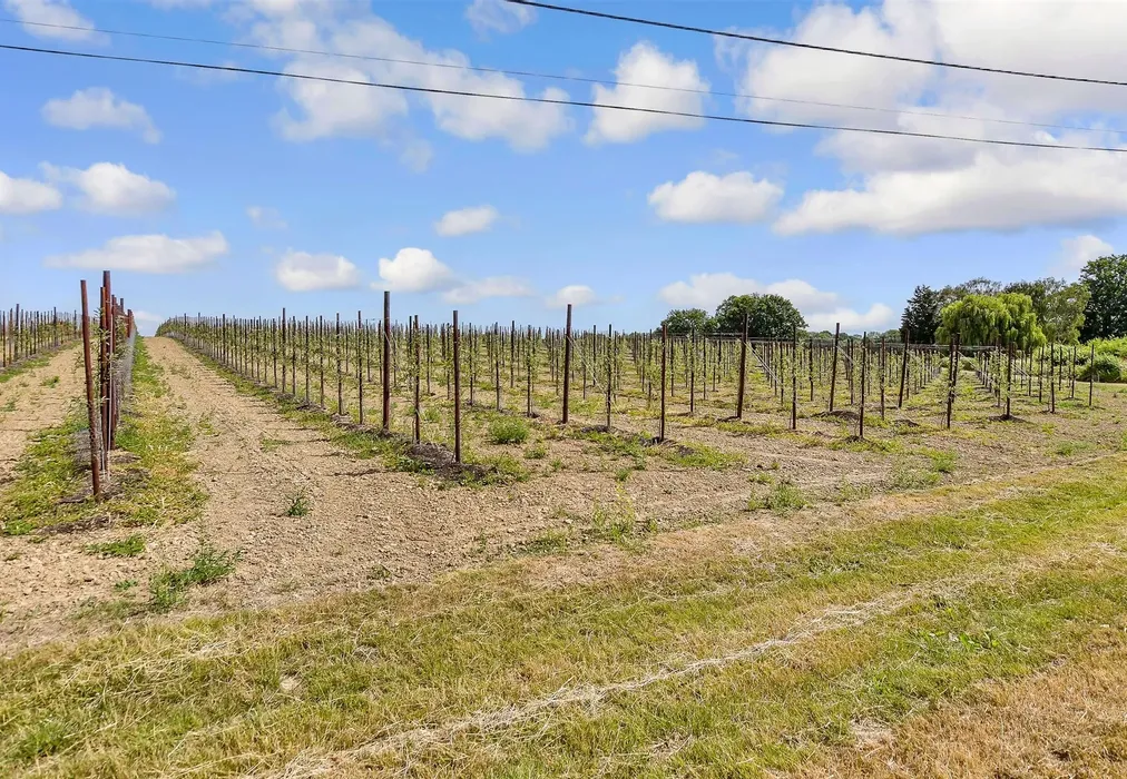 Surrounding Area - School House Lane, Horsmonden, Tonbridge, Kent - Wards of Kent