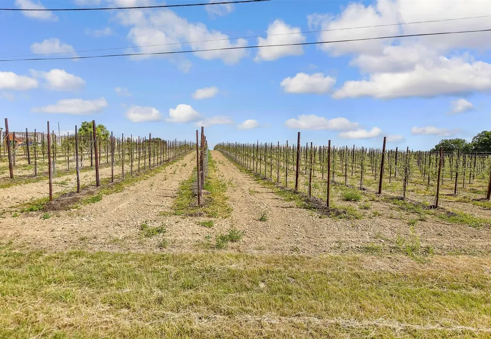 Surrounding Area - School House Lane, Horsmonden, Tonbridge, Kent - Wards of Kent