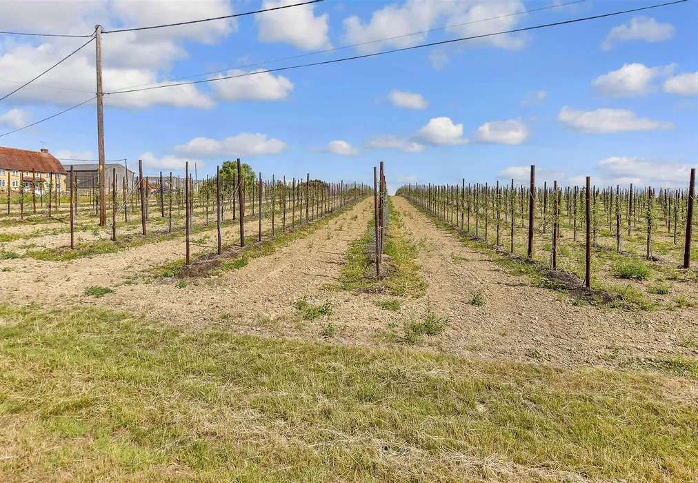 Surrounding Area - School House Lane, Horsmonden, Tonbridge, Kent - Wards of Kent