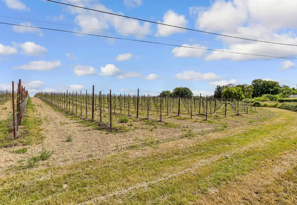 Surrounding Area - School House Lane, Horsmonden, Tonbridge, Kent - Wards of Kent