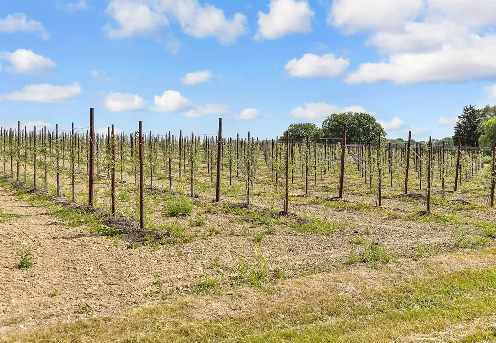 Surrounding Area - School House Lane, Horsmonden, Tonbridge, Kent - Wards of Kent