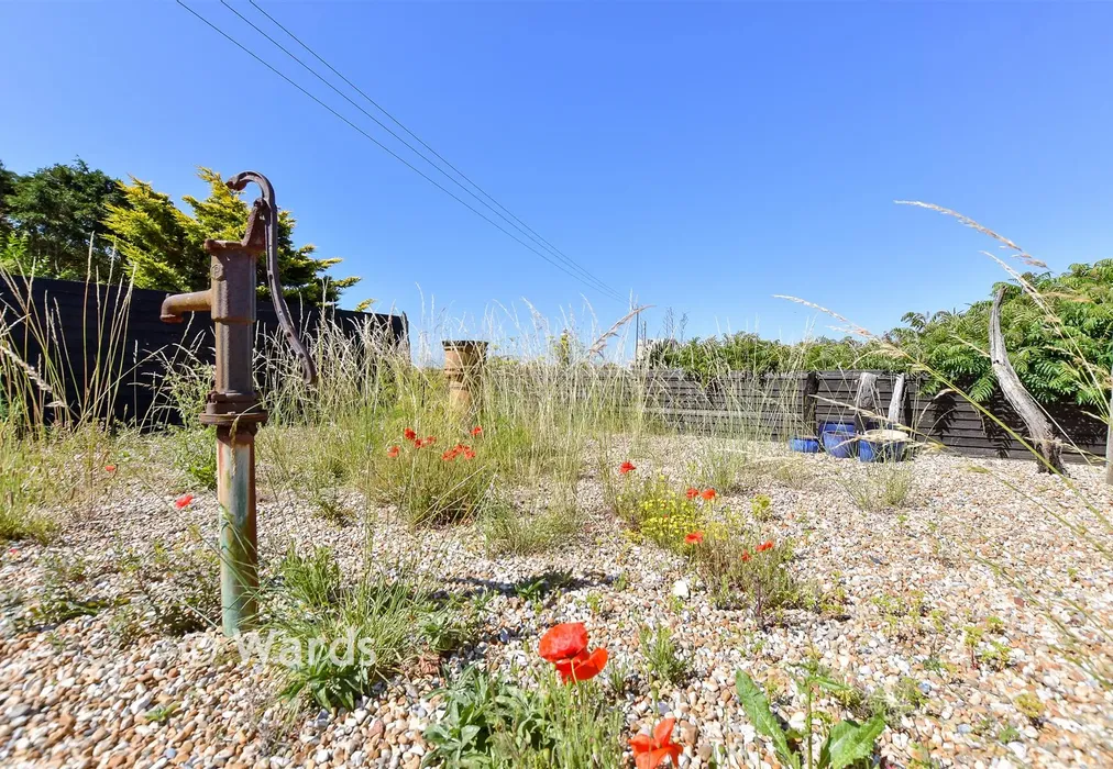 Rear Garden (Original) - Dungeness Road, Dungeness, Kent - Wards of Kent