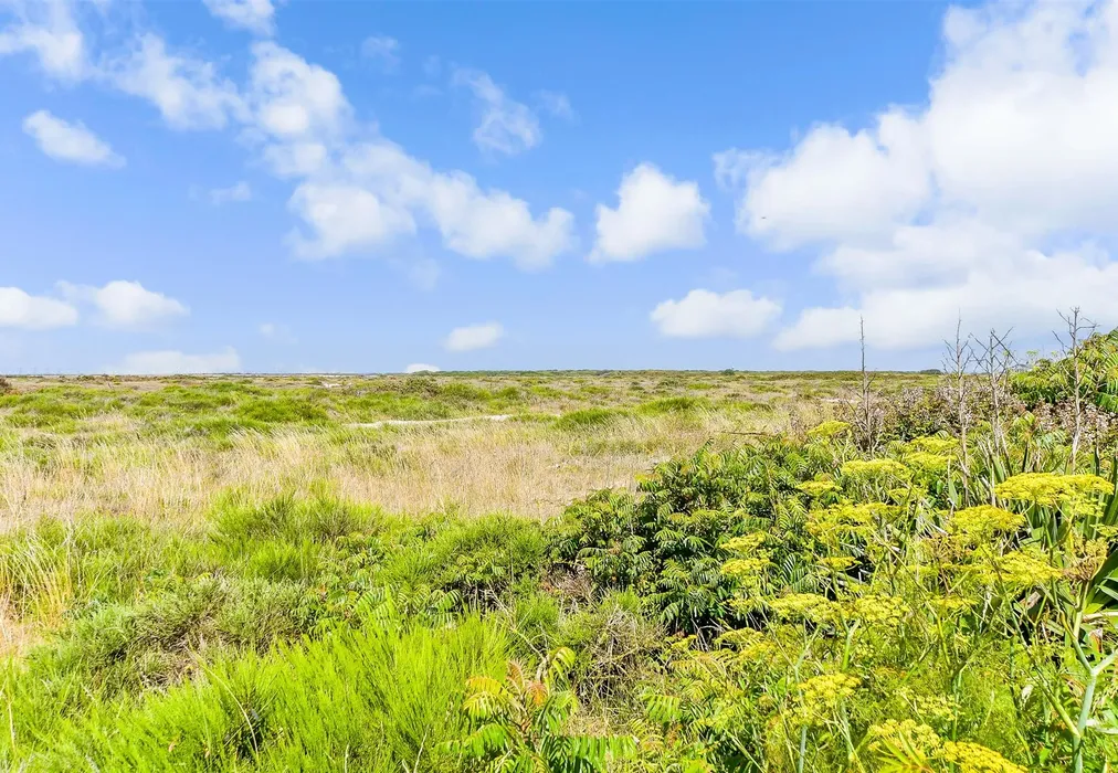 Views To Rear - Dungeness Road, Dungeness, Kent - Wards of Kent