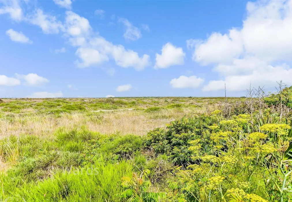 Views To Rear - Dungeness Road, Dungeness, Kent - Wards of Kent