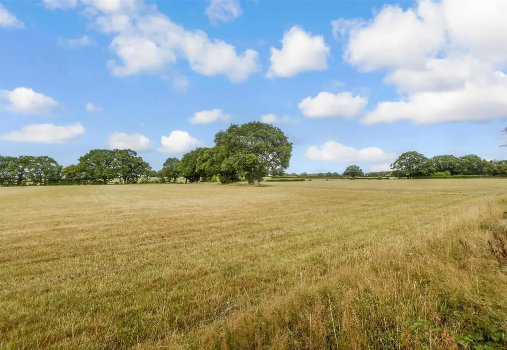 Views To Rear - Park Farm Close, Shadoxhurst, Ashford, Kent - Wards of Kent