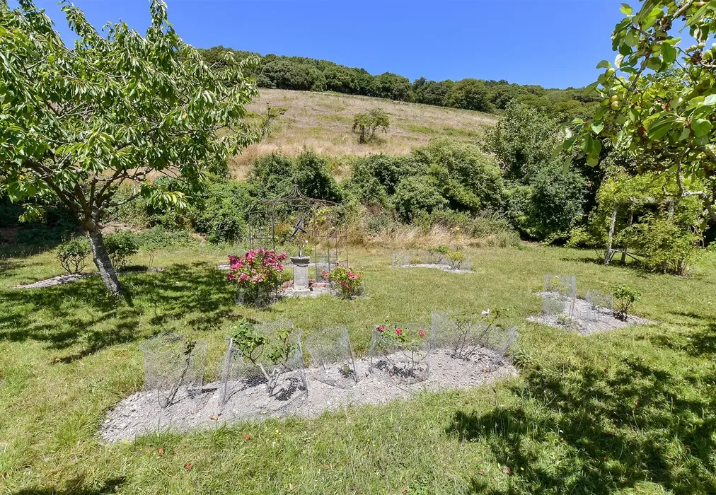 Rear Garden - Leeson Road, Ventnor, Isle of Wight - Wards of Kent