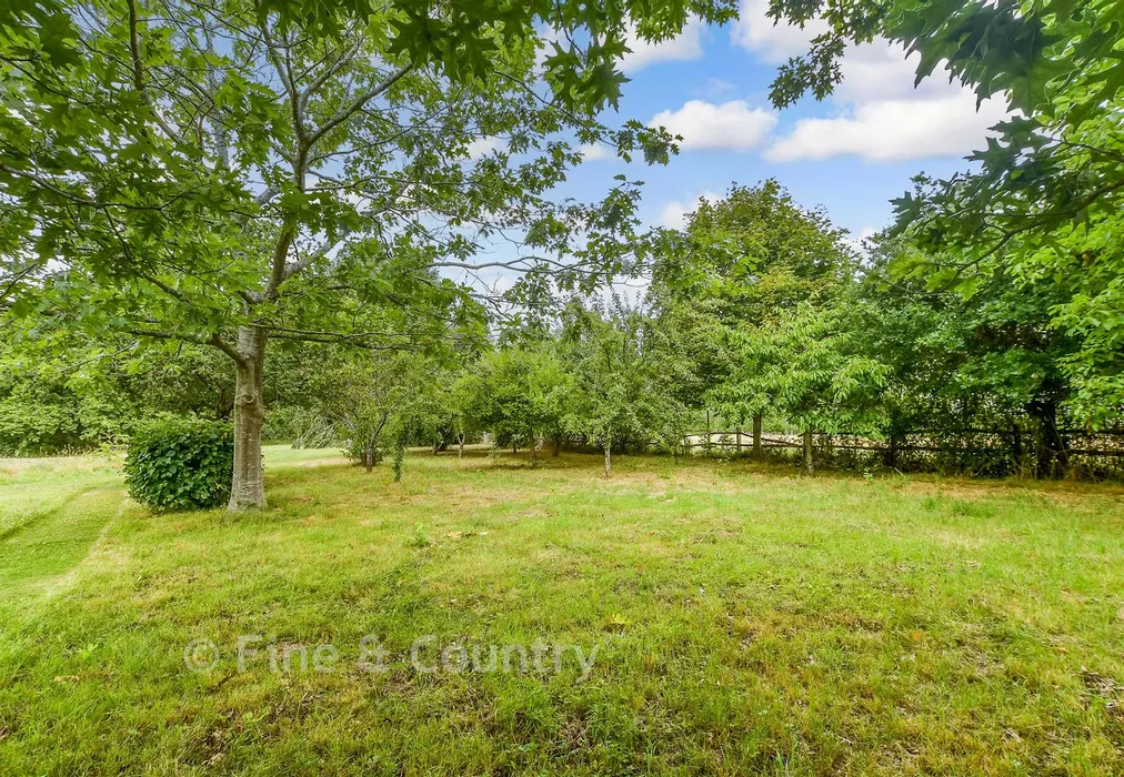 Rear Garden - Gillridge Lane, Crowborough, East Sussex - Wards of Kent