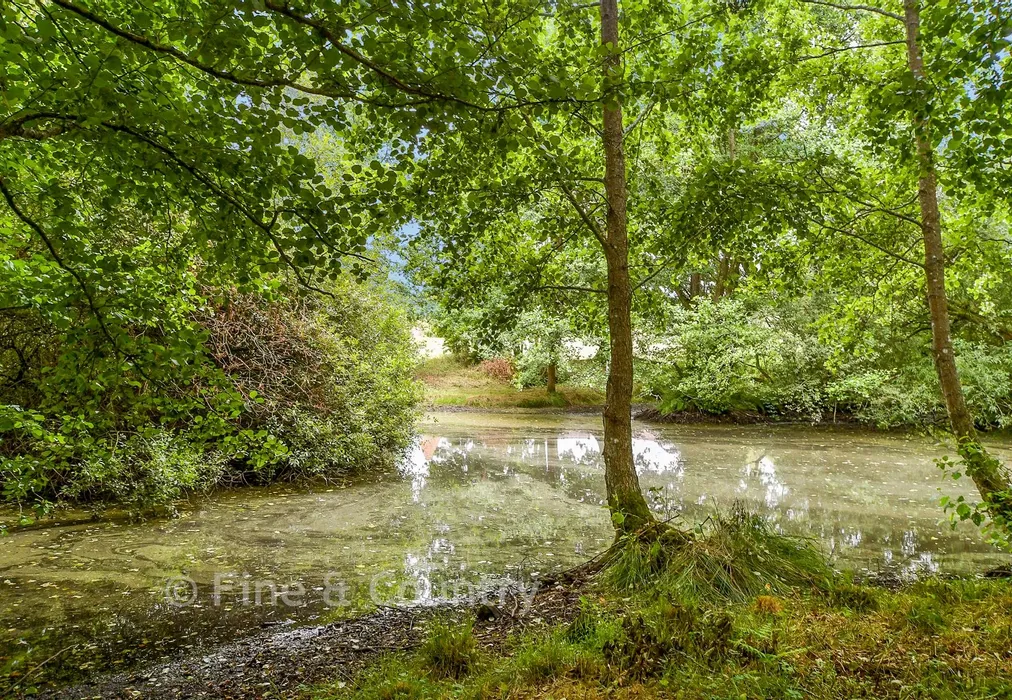 Rear Garden - Gillridge Lane, Crowborough, East Sussex - Wards of Kent