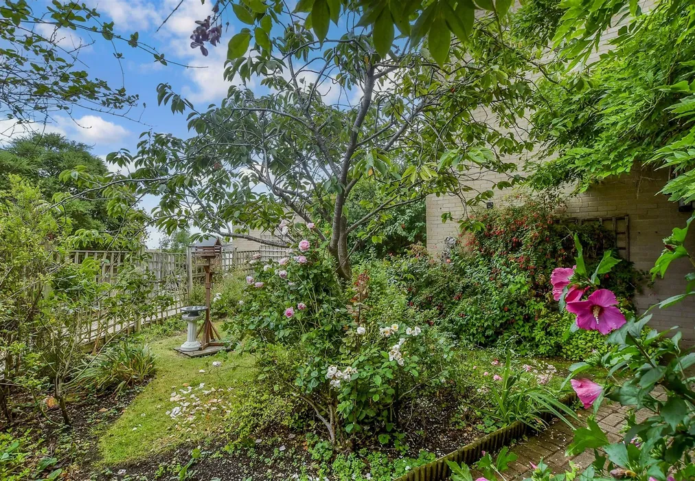 Communal Gardens - Ivy House Road, Whitstable, Kent - Wards of Kent