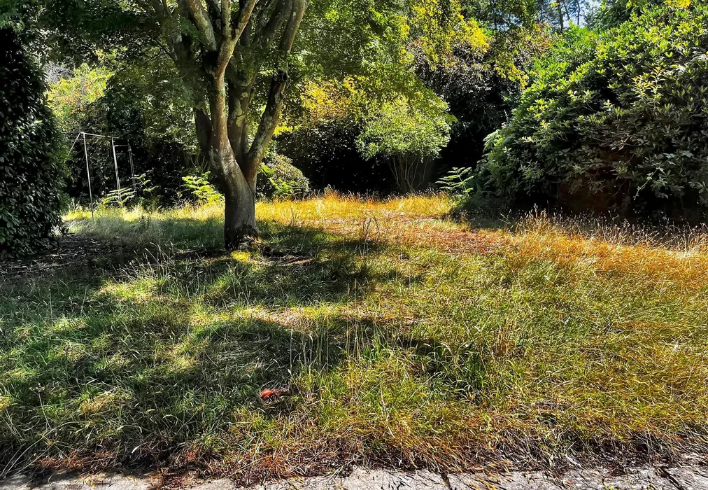 Rear Garden - Thakeham Road, Storrington, Pulborough, West Sussex - Wards of Kent