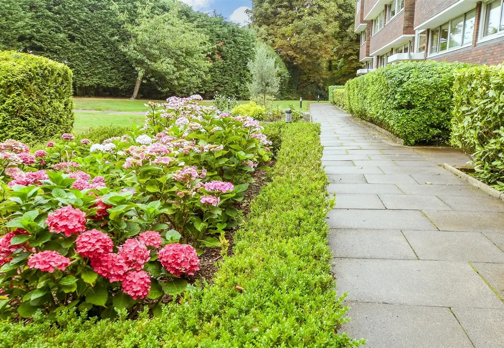 Communal Gardens - Bancroft Court, Reigate, Surrey - Wards of Kent