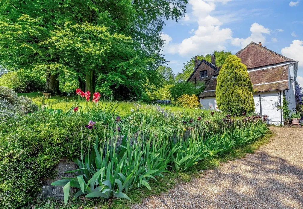 External Lifestyle - Elham, Canterbury, Kent - Wards of Kent