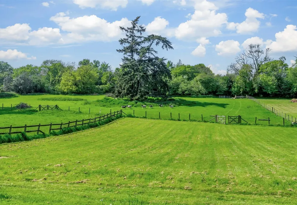 External Lifestyle - Elham, Canterbury, Kent - Wards of Kent