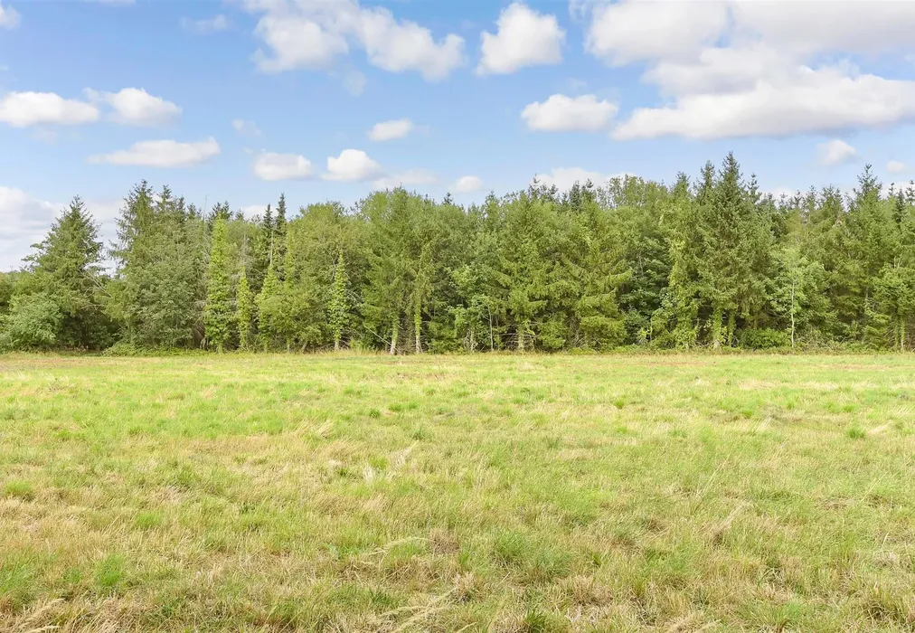 Surrounding Area - South Drive, Banstead, Surrey - Wards of Kent