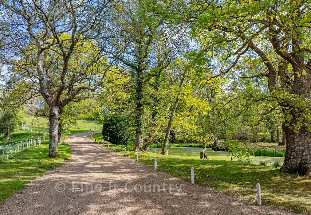 Driveway - Danegate, Eridge Green, Tunbridge Wells, East Sussex - Wards of Kent