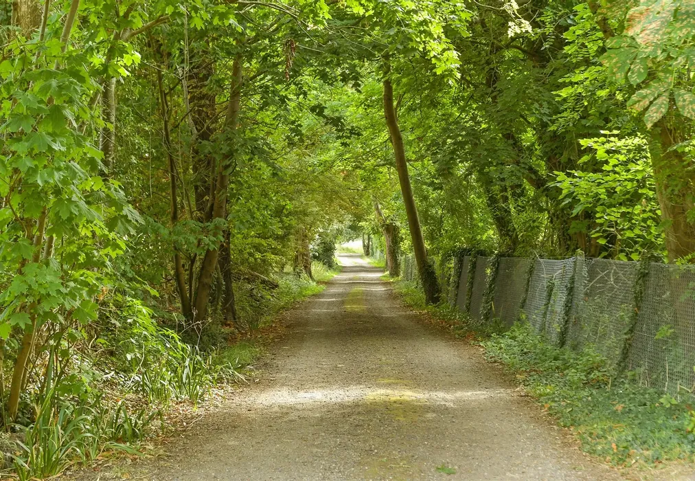 Surrounding Area - Rectory Lane, Buckland, Surrey - Wards of Kent