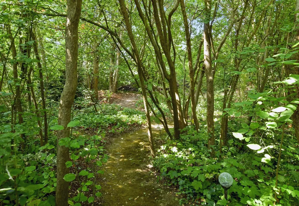 Rear Garden - Brangwyn Drive, Brighton, East Sussex - Wards of Kent