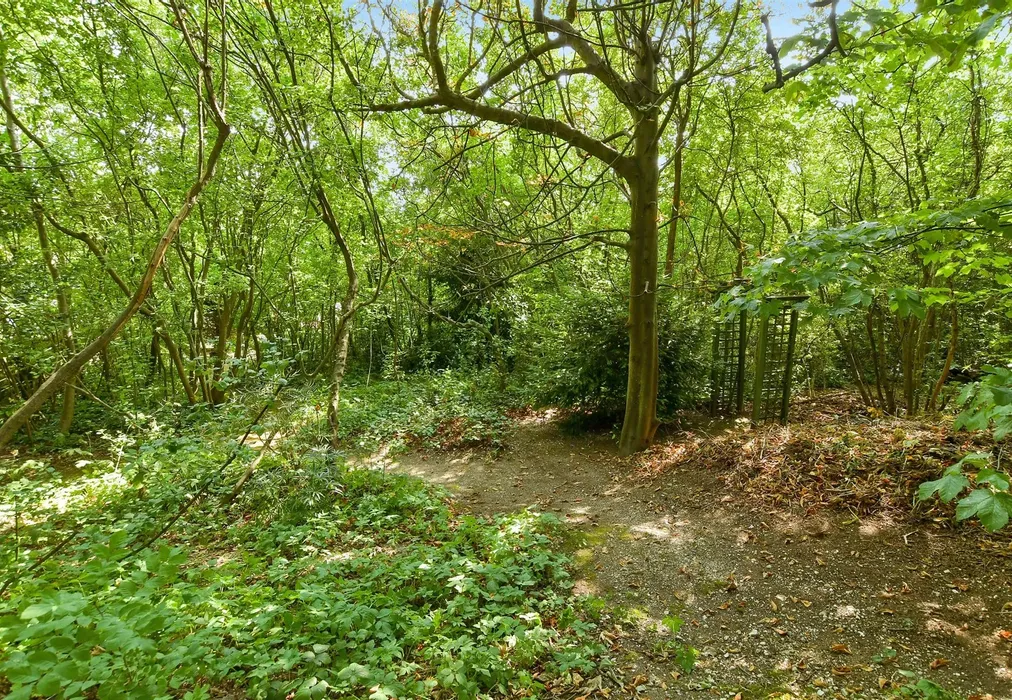 Rear Garden - Brangwyn Drive, Brighton, East Sussex - Wards of Kent