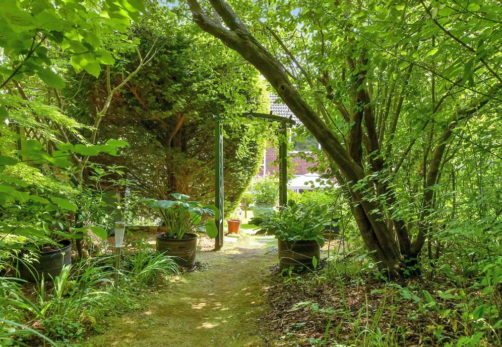 Rear Garden - Brangwyn Drive, Brighton, East Sussex - Wards of Kent