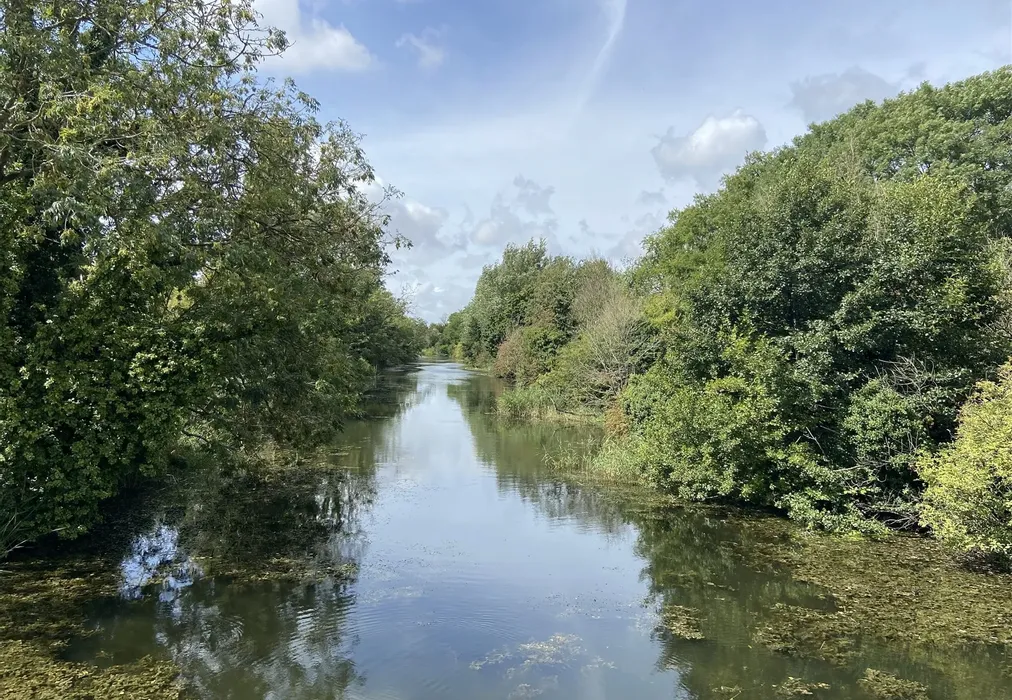 Canal - Palmbeach Avenue, Hythe, Kent - Wards of Kent