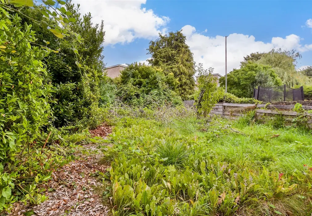 Rear Garden - Maison Dieu Road, Dover, Kent - Wards of Kent