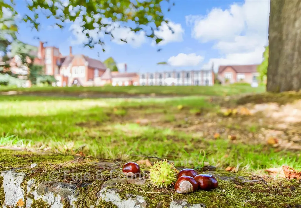 External Lifestyle Photograph - North Frith Park, Hadlow, Tonbridge, Kent - Wards of Kent