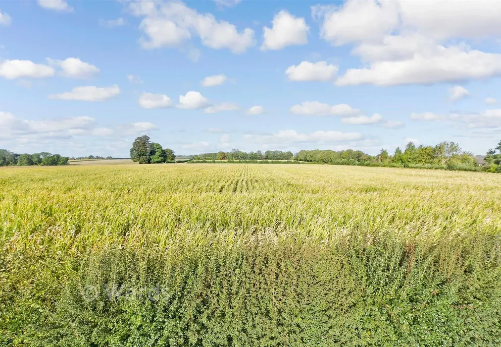 Views To Front - Mercer Way, Chart Sutton, Maidstone, Kent - Wards of Kent
