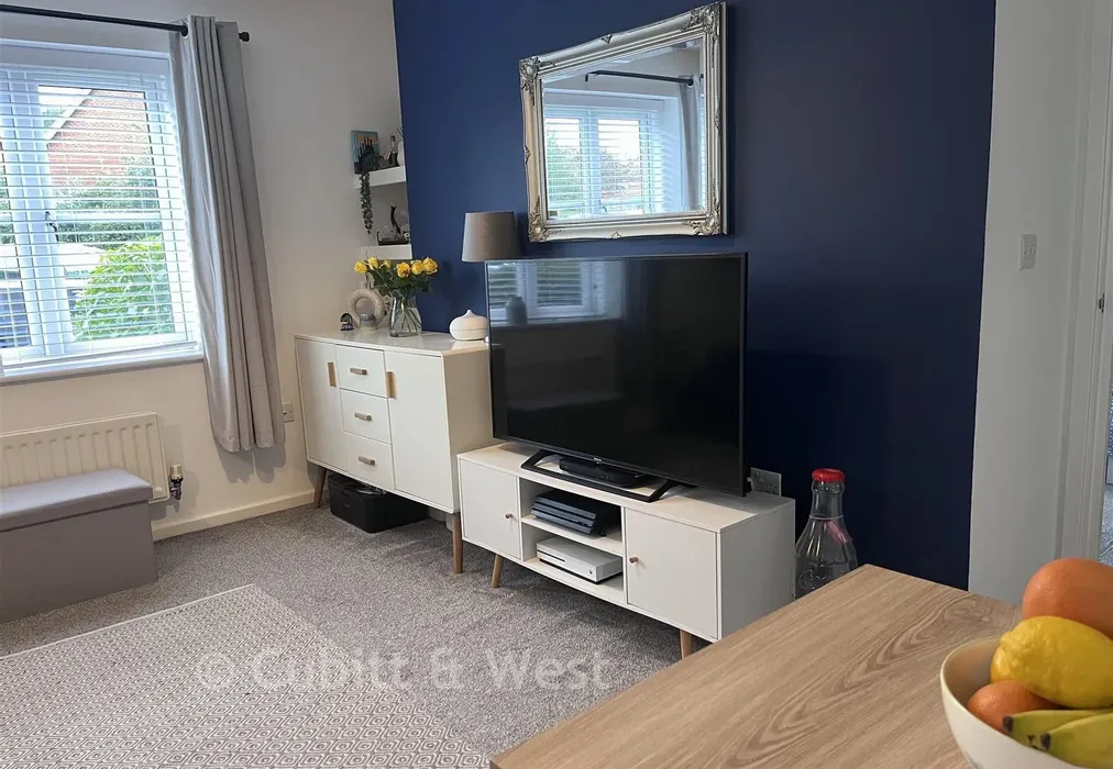 TV Area - Admiral Way, Godalming, Surrey - Wards of Kent