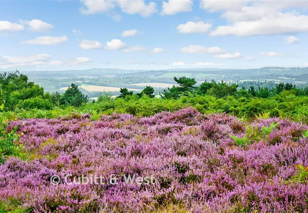 Surrounding Area - Ashdown Forest - The Orchards, Primrose Drive, Ridgewood, Uckfield, East Sussex - Wards of Kent
