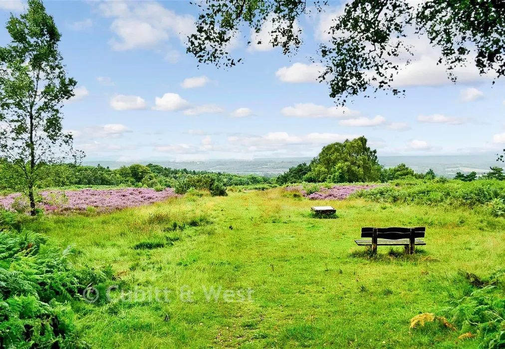 Surrounding Area - Ashdown Forest - The Orchards, Primrose Drive, Ridgewood, Uckfield, East Sussex - Wards of Kent