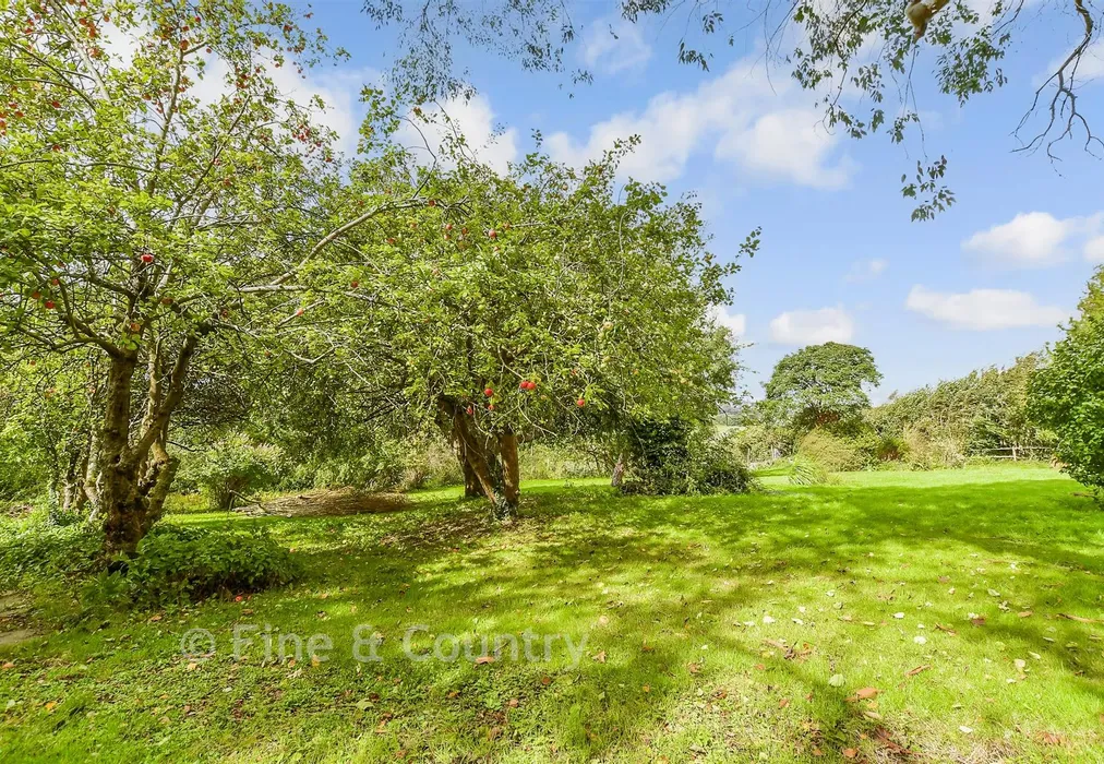 Rear Garden - Piccadilly Lane, Mayfield, East Sussex - Wards of Kent