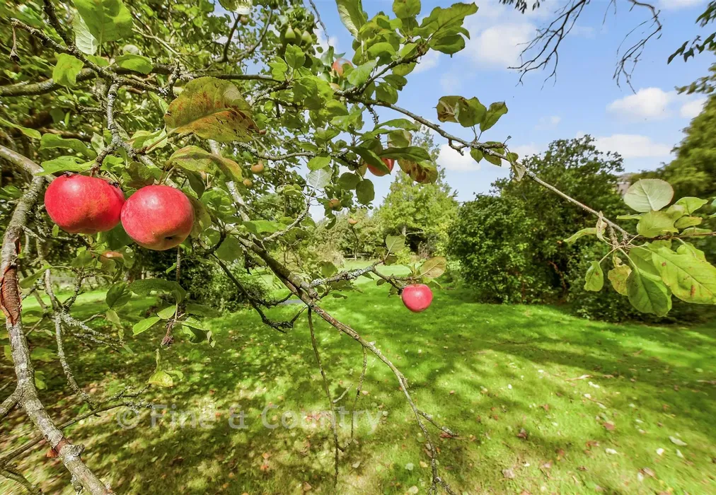 External Lifestyle Photograph - Piccadilly Lane, Mayfield, East Sussex - Wards of Kent
