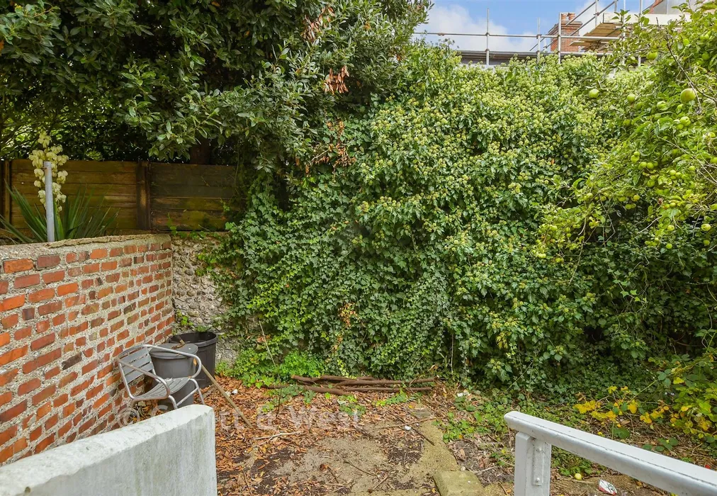 Rear Garden - Queens Park Road, Brighton, East Sussex - Wards of Kent