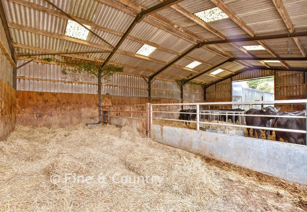 Livestock Barn - Mersley Downs Road, Downend, Isle of Wight - Wards of Kent
