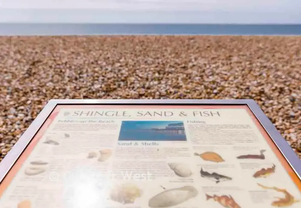 Lifestyle 6 - Red Admiral Drive, Vivid Homes, Rose Green, Bognor Regis, West Sussex - Wards of Kent